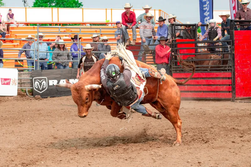 Eight Seconds to the Operating Table: The Bull Dodger Who Became the Southwest's Most Celebrated Trauma Surgeon