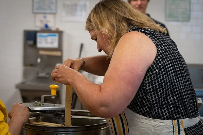Stung Into History: The Missouri Farmhand Whose Beehives Quietly Rewrote Pain Medicine
